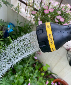 葡萄栽培，掌握关键技术，实现优质丰产