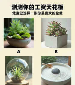 葡萄栽培，掌握关键技术，实现优质丰产