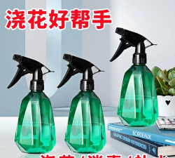 无土栽培技术，突破土壤限制，开启高效种植新篇章