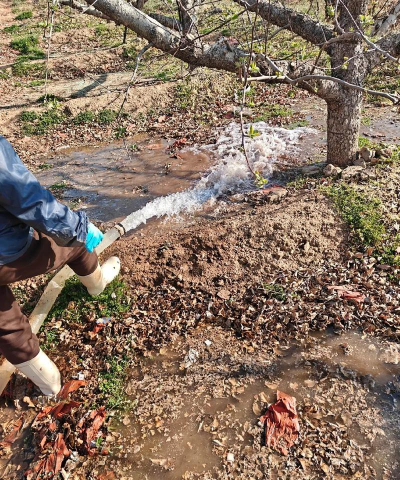 无土栽培技术，突破土壤限制，开启高效种植新篇章
