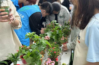 家庭养花用生根粉