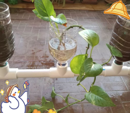 家庭养花用生根粉