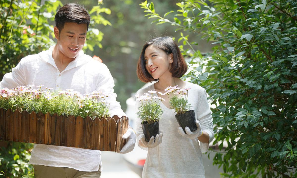 家庭养花用生根粉