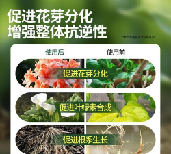 家庭养花用生根粉