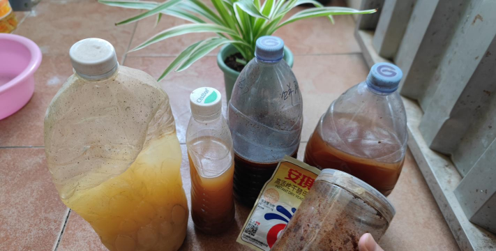 家庭养花用生根粉