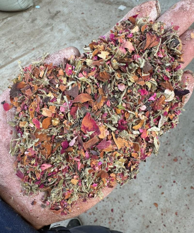 家庭养花用生根粉