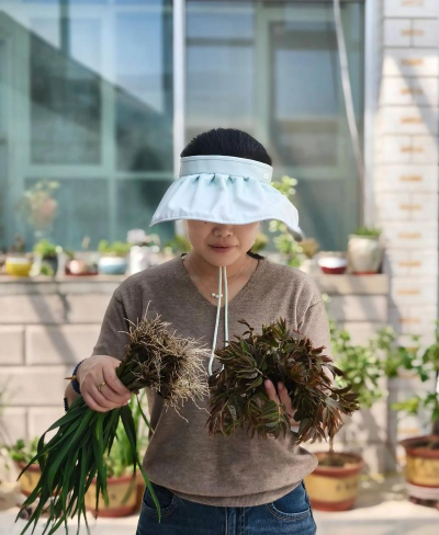 家庭养花用生根粉