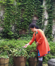 家庭养花用生根粉