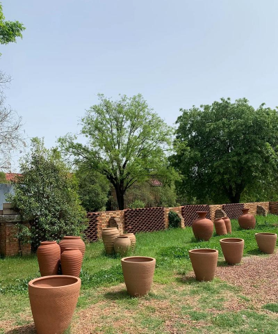 馆陶养花的地方