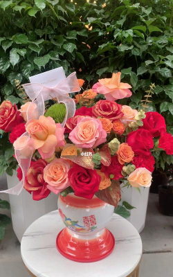 家庭养花用生根粉