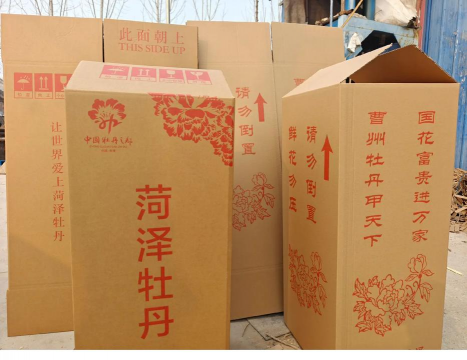 纸箱可以养花吗