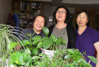 家庭养花用生根粉