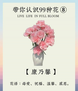 老人养花短片文案