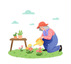 家庭养花用生根粉