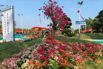 廉江新屋仔养花