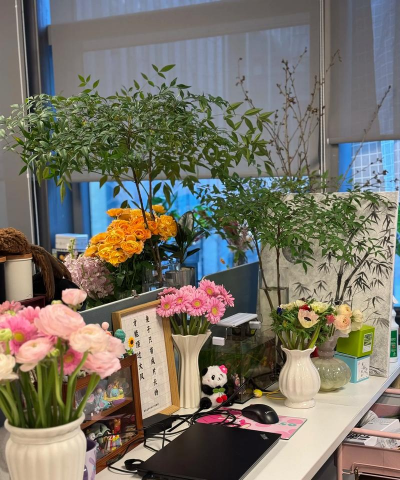 家庭养花用生根粉