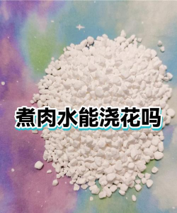 家庭养花用生根粉