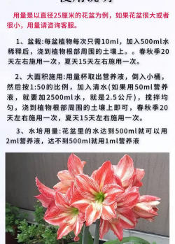 家庭养花用生根粉