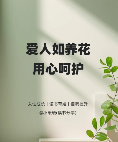 无土栽培技术，突破土壤限制，开启高效种植新篇章