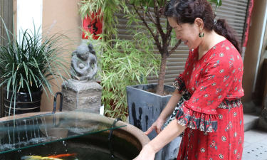 家庭养花用生根粉