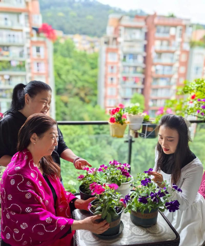 家庭养花用生根粉