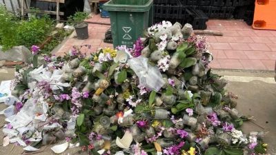 家庭养花用生根粉