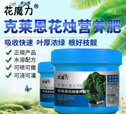 家庭养花用生根粉