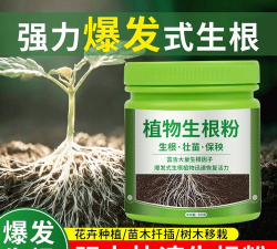 绿化景观设计，提升环境品质，创造宜人空间