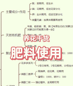 家庭养花用生根粉