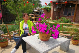 家庭养花用生根粉