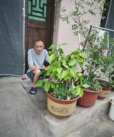 家庭养花用生根粉