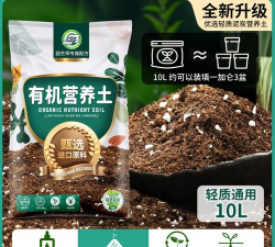 家庭养花用生根粉