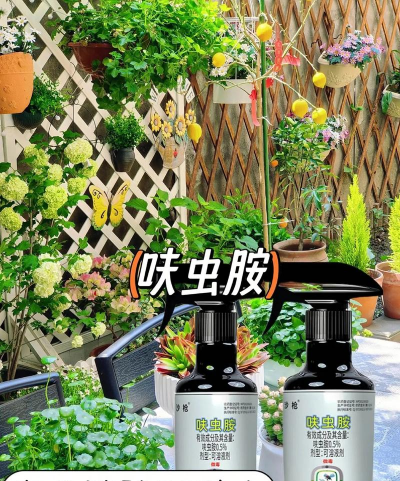 家庭养花用生根粉