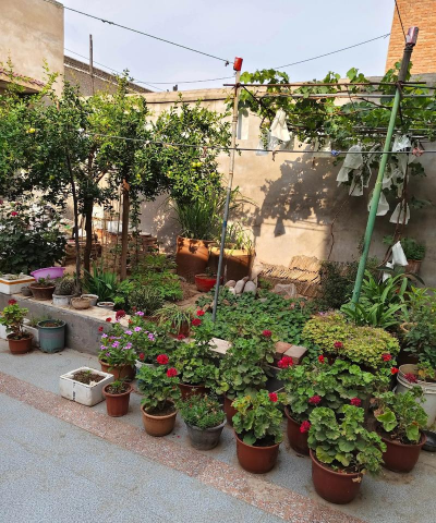 武胜养花院子出租