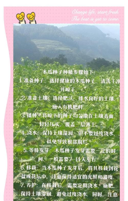 木瓜子如何种植