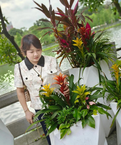 家庭养花用生根粉