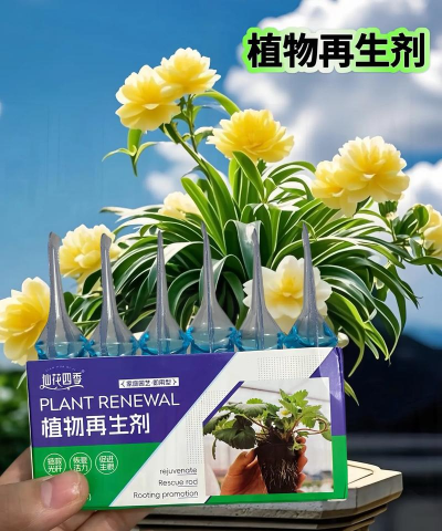 家庭养花用生根粉