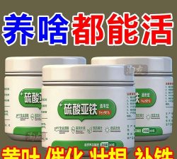 家庭养花用生根粉