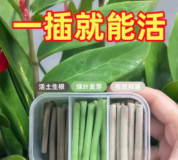 家庭养花用生根粉