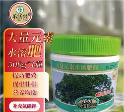 家庭养花用生根粉