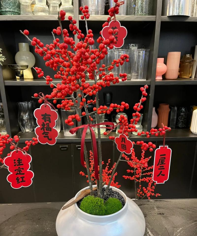 家庭养花用生根粉