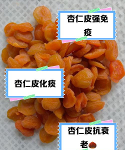 杏仁皮可以养花