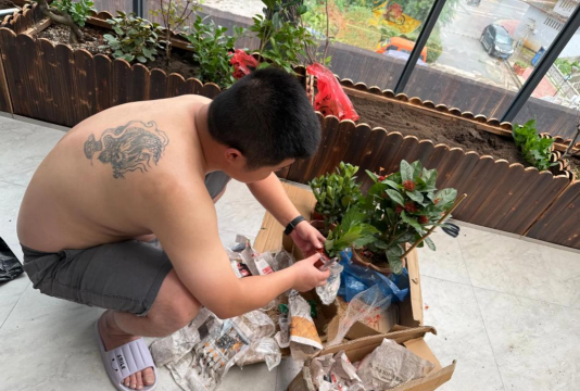 家庭养花用生根粉