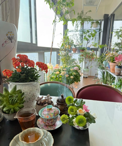 家庭养花用生根粉