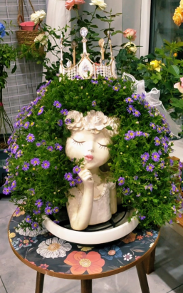 家庭养花用生根粉