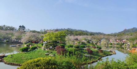 东湖养花好去处