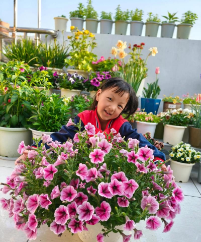 家庭养花用生根粉