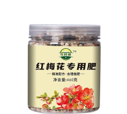 红梅花施什么肥料