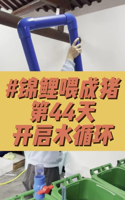 鱼池怎么浇水养花