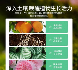 家庭养花用生根粉